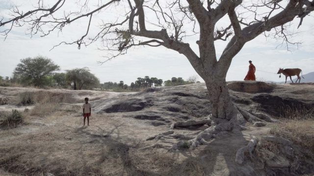 Balanço e Premiação do Festival de Roterdã 2021