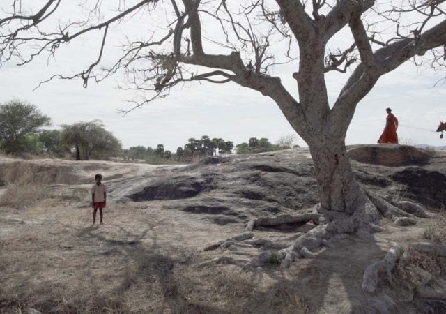 Balanço e Premiação do Festival de Roterdã 2021