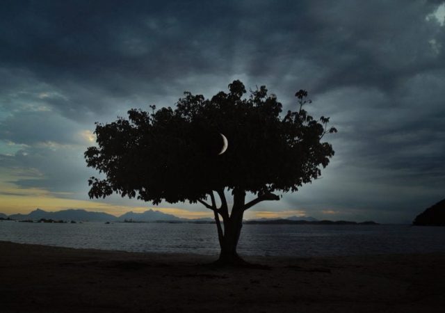 Os Vencedores do Curta Cinema 30 Anos