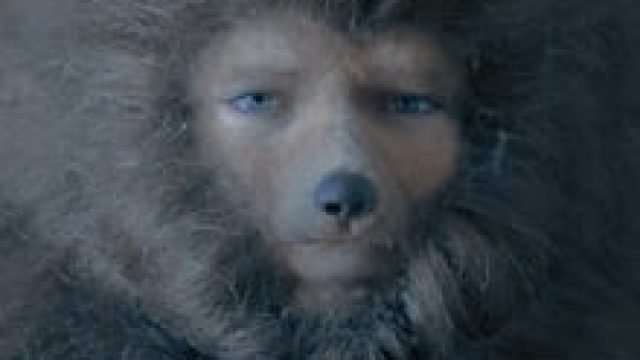 O Filho de Sofia