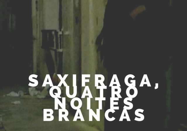 Saxifraga, Quatro Noites Brancas