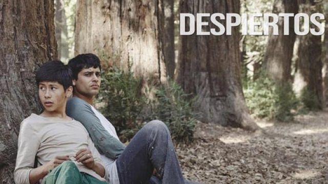 Mis Hermanos Sueñan Despiertos