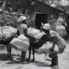 Protegido: ARUANDA (1959), de Linduarte Noronha