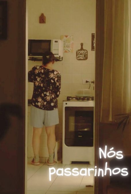 Nós Passarinhos