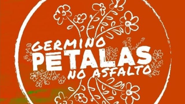 Germino Pétalas no Asfalto