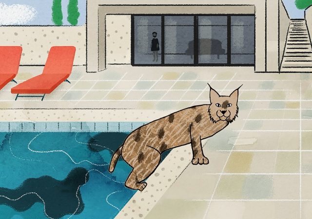 Tudo Sobre a Mostra Nordeste em Pré-Estreias