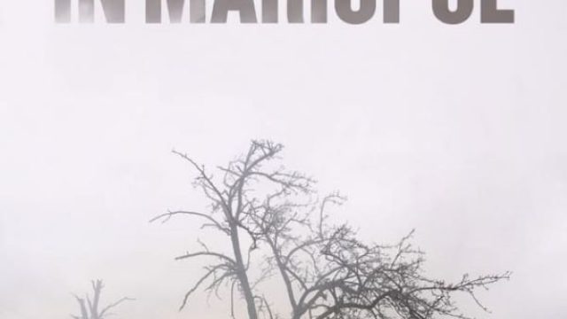 20 dias em Mariupol
