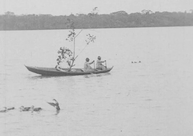 A Jornada de “Amazonas, o Maior Rio do Mundo” no Brasil
