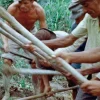 Protegido: CANTOS DE TRABALHO: MUTIRÃO (1974), de Leon Hirszman