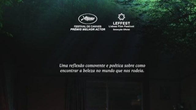 Dias Perfeitos
