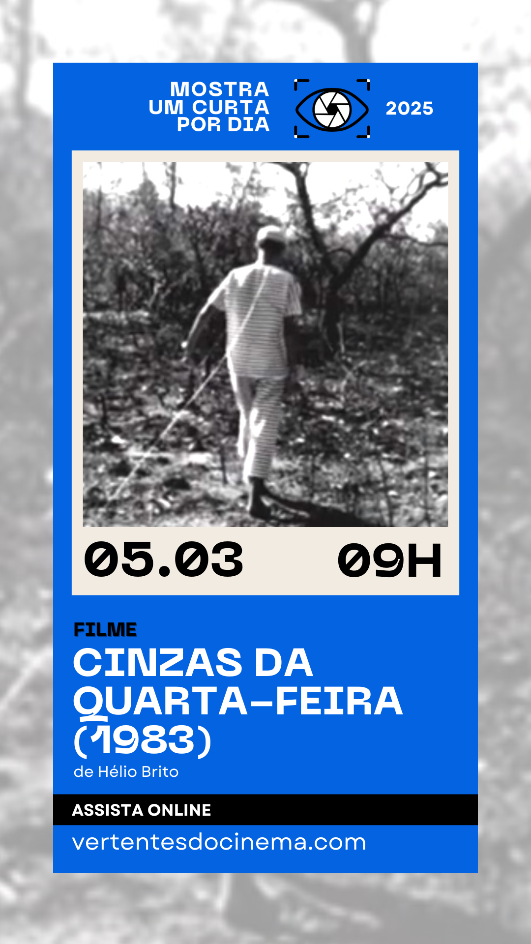 Mostra Um Curta Por Dia 2025