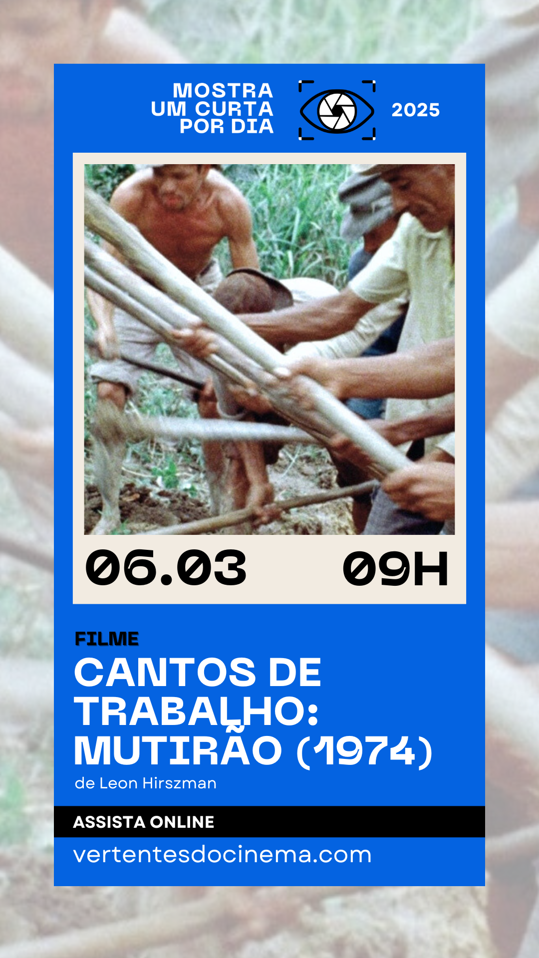 Mostra Um Curta Por Dia 2025