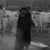 Protegido: REPULSA (2017), de Eduardo Morotó