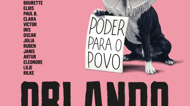 Orlando, Minha Biografia Política