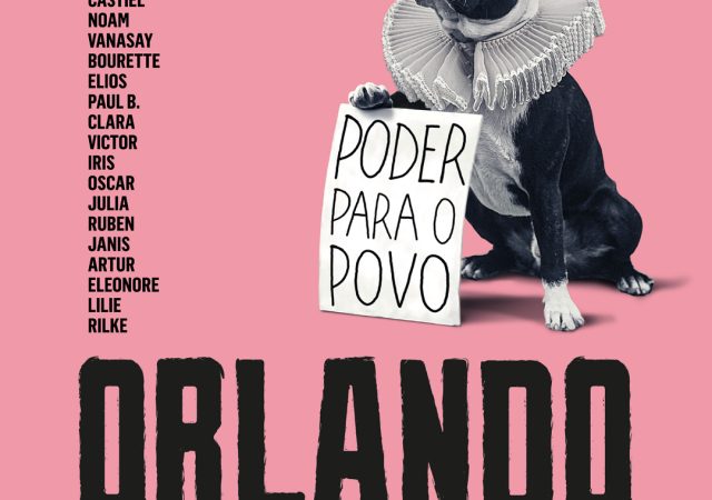 Orlando, Minha Biografia Política