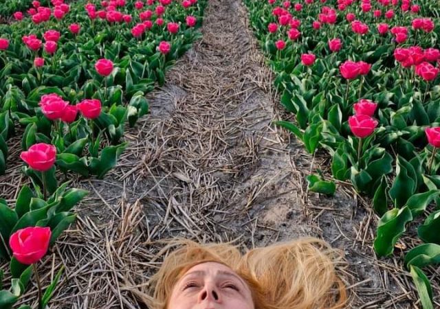 Tudo Sobre o Festival Cavideo 27 Anos