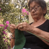 Protegido: AS MARIAS (2023), de Dannon Lacerda
