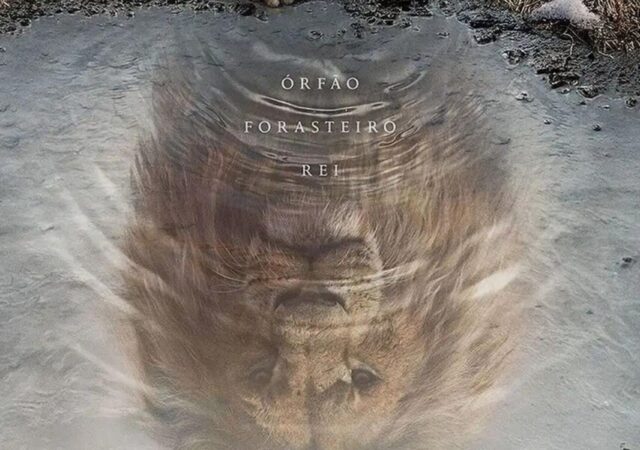 Mufasa: O Rei Leão