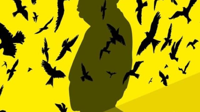 Meu Nome é Alfred Hitchcock