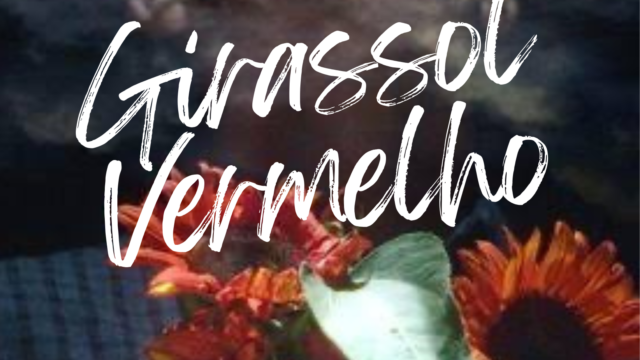 Girassol Vermelho