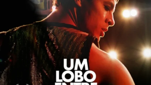 Um Lobo entre os Cisnes