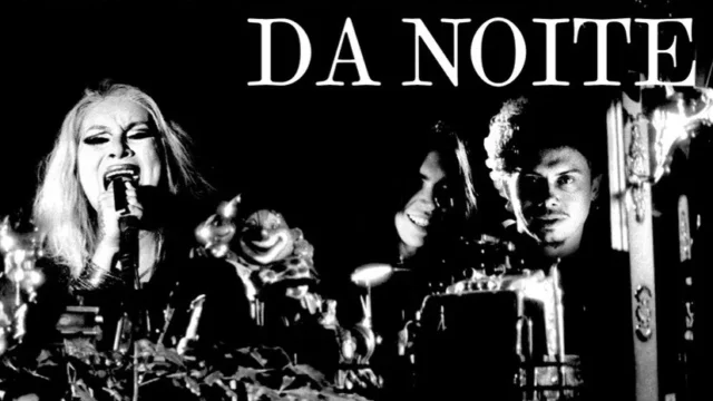 As Florestas da Noite