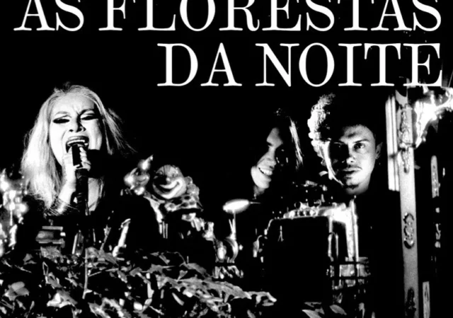 As Florestas da Noite