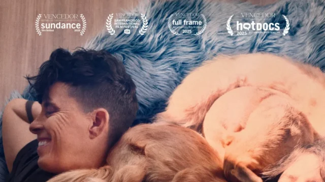 Embaixo da Luz de Neon