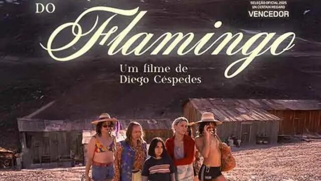 O Olhar Misterioso do Flamingo