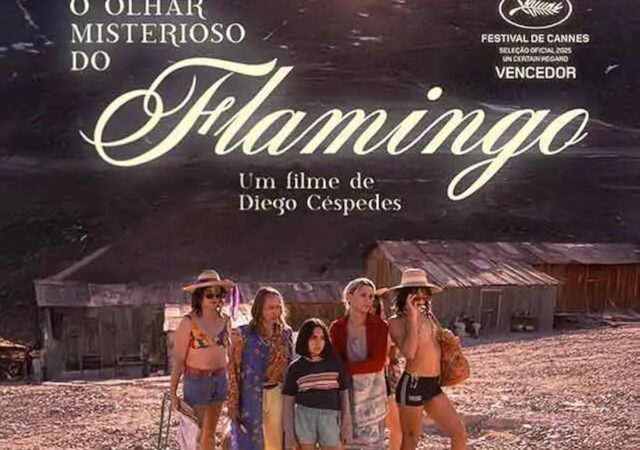 O Olhar Misterioso do Flamingo