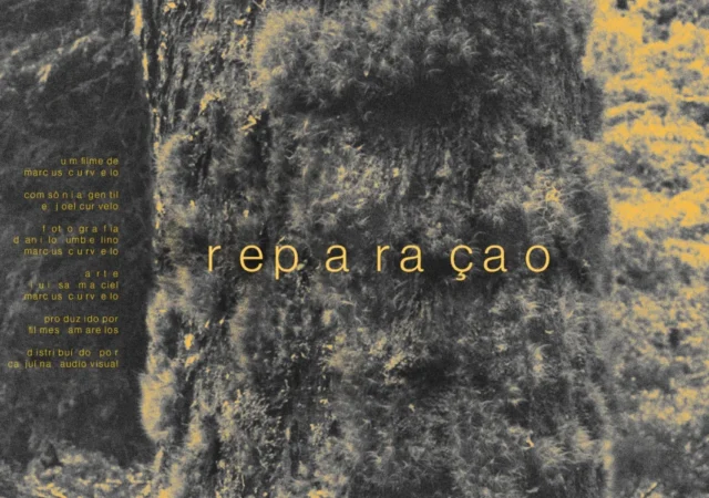 Reparação