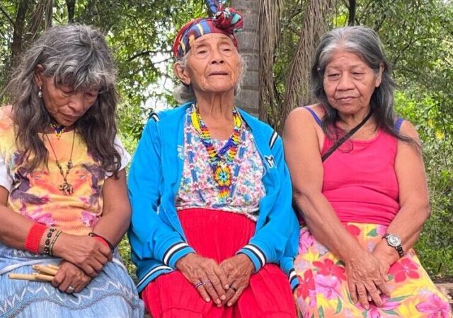 Balanço Geral e Vencedores do Festival de Cinema de Vitória 2026